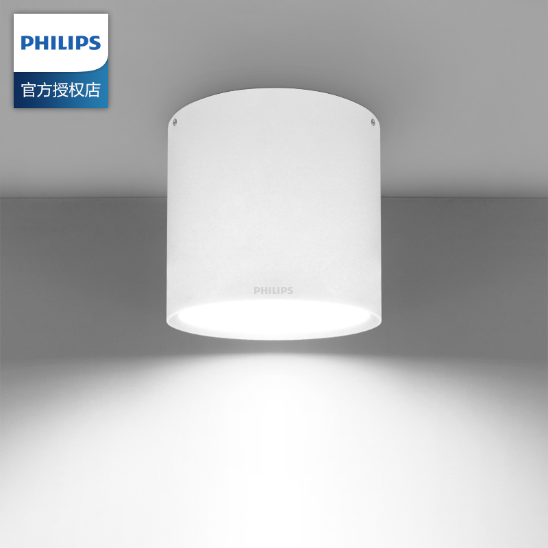 Philips Dn003C Surface Downlight 12W/24W